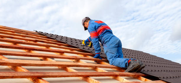 Best Sheet Metal Roofing  in Woodbine, IA